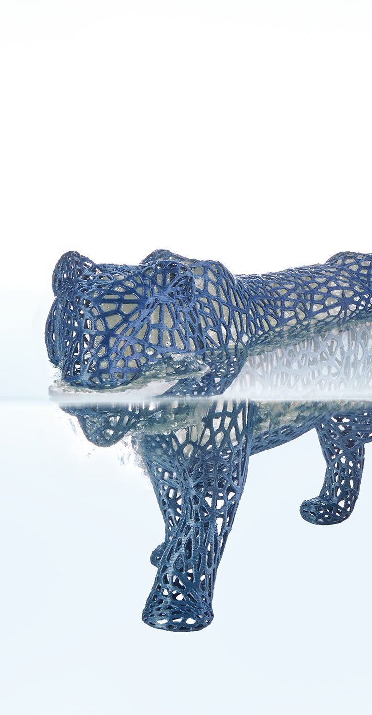 ANYCUBIC-CA