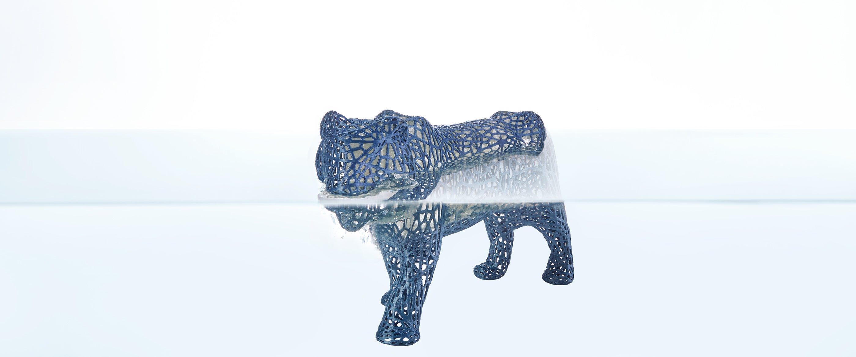 ANYCUBIC-CA