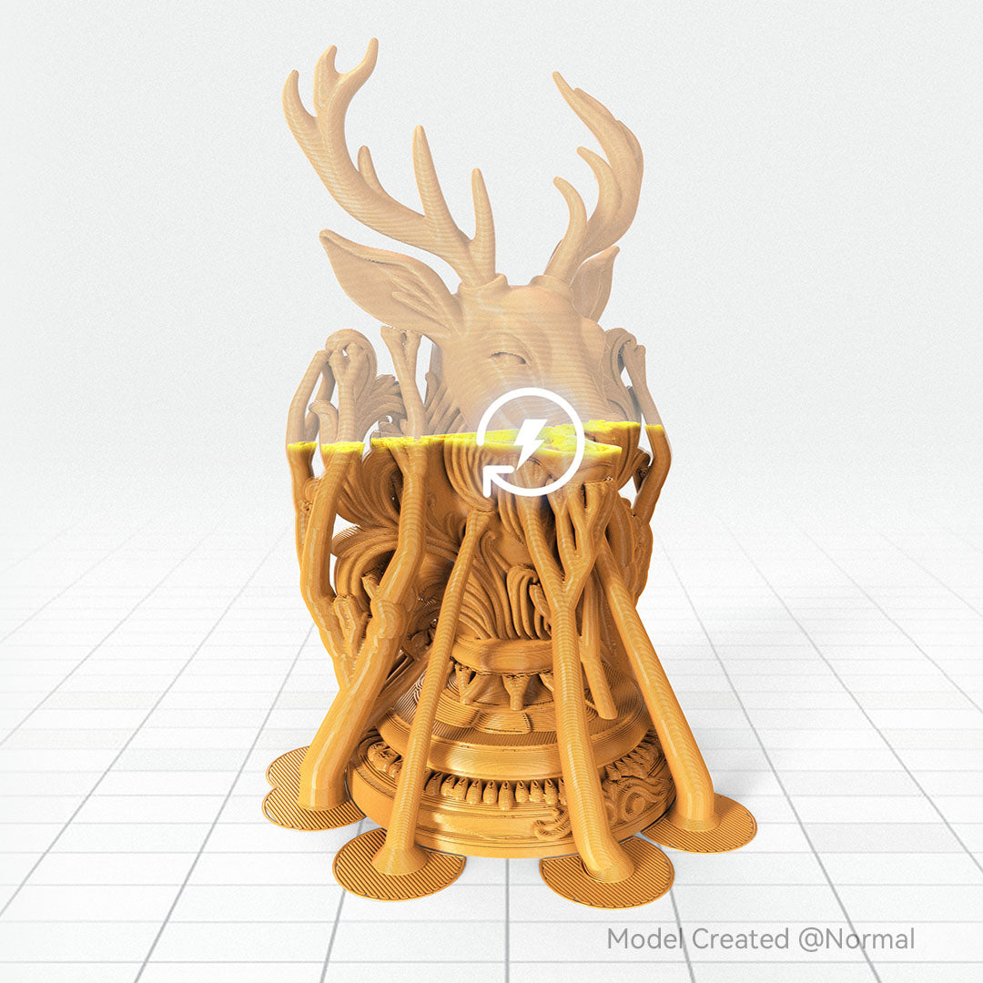 ANYCUBIC-CA